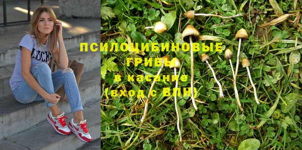 прущая мука Абдулино