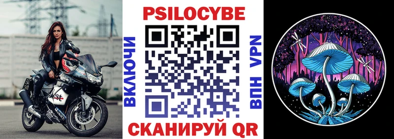Псилоцибиновые грибы Psilocybe  сколько стоит  Ангарск 